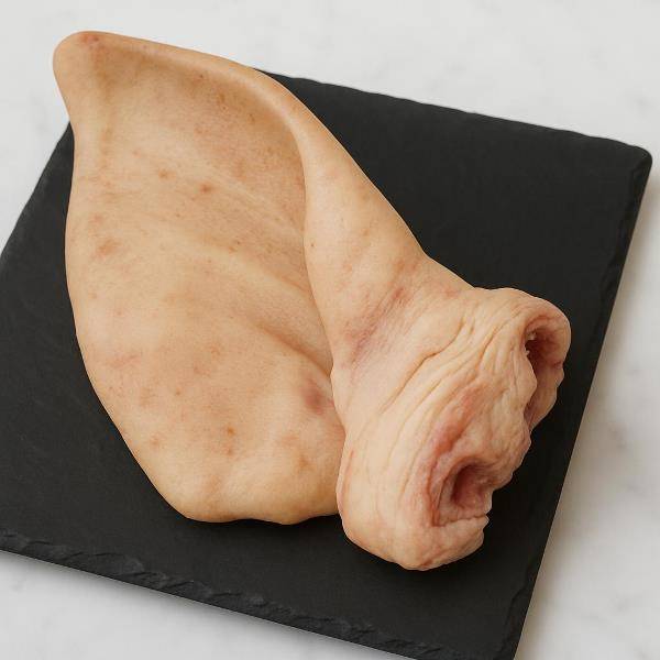Oreille de Porc (x1)