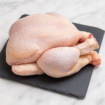 Poule