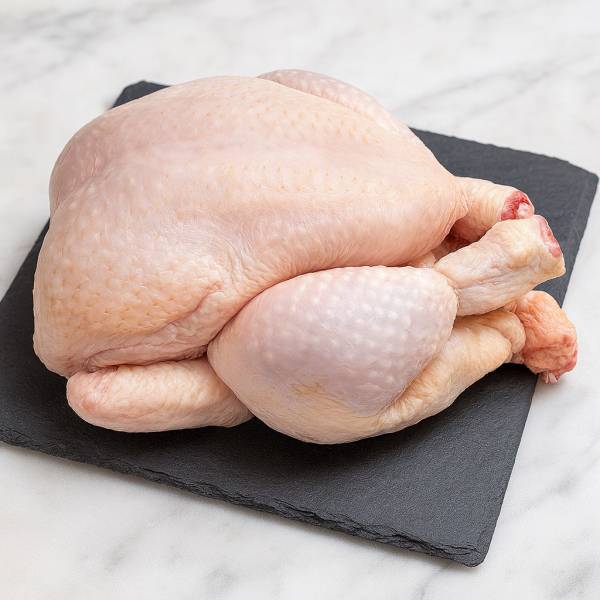 Poule