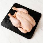 Dinde Thanksgiving