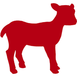 Viande de bœuf