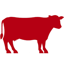Viande de bœuf