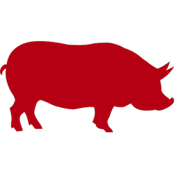Viande de bœuf