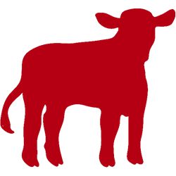 Viande de bœuf