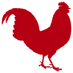 Viande de bœuf